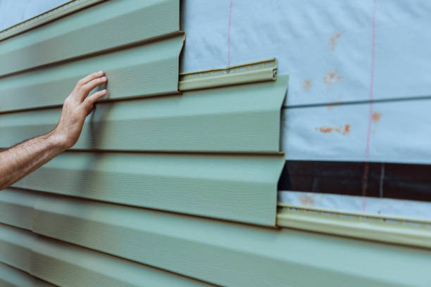 Best Custom Trim and Detailing for Siding  in Mason City, IA